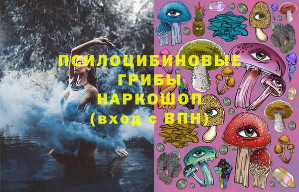 гашик Каменск-Шахтинский