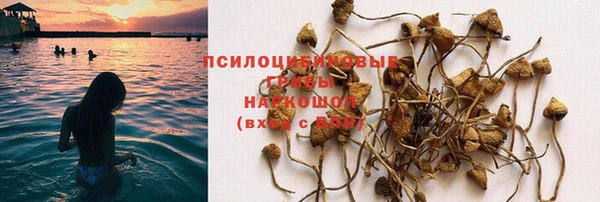 дурь Ростов
