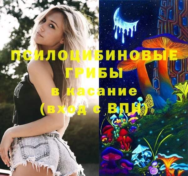 mdpv Рославль